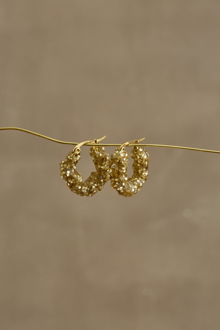 Aros/ Caravanas