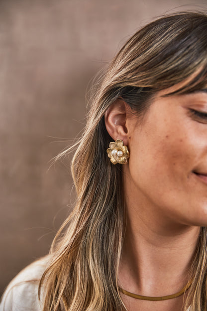 Aros LÍA