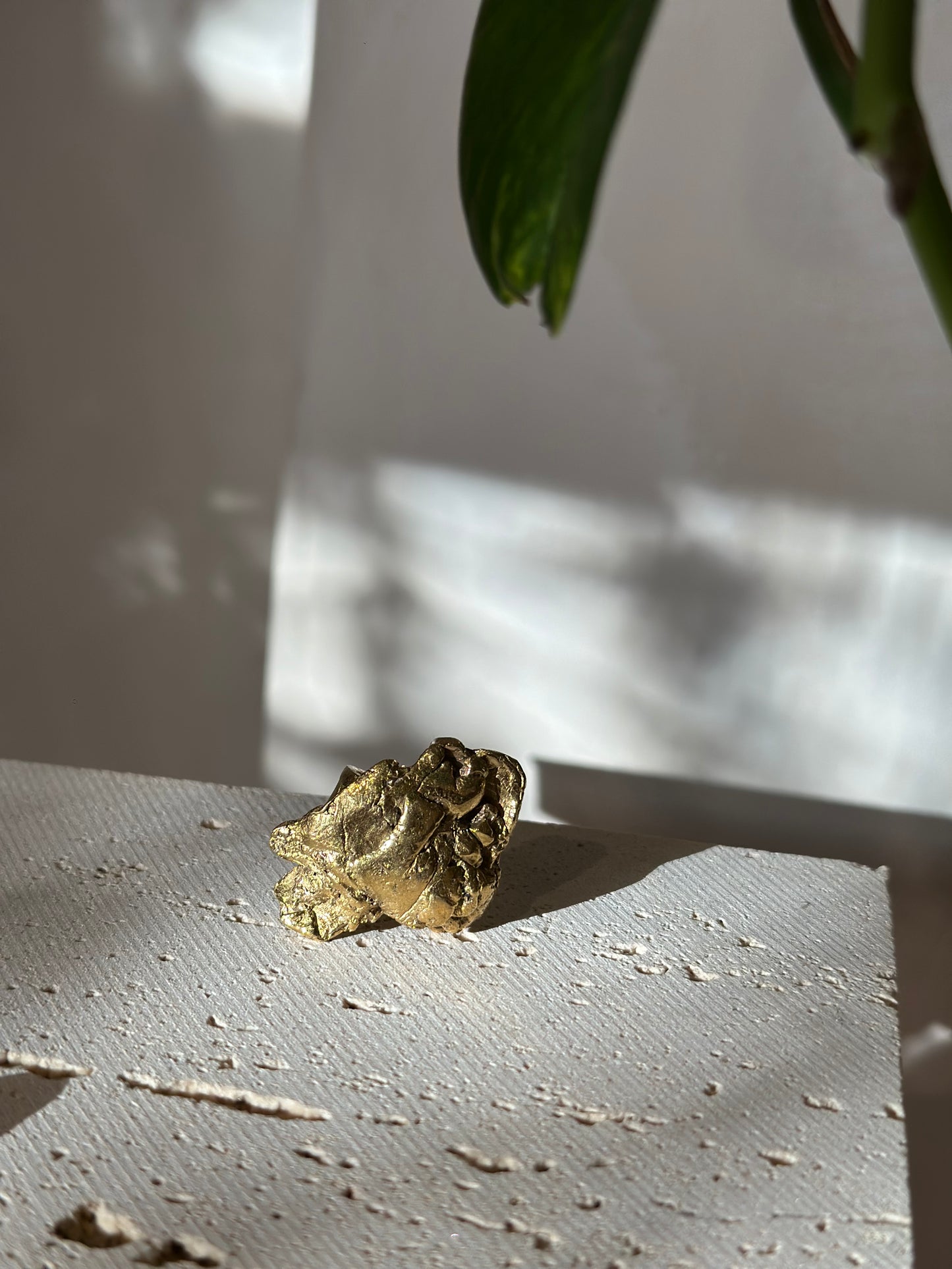 Anillo CRECER