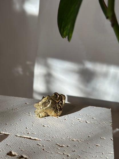 Anillo CRECER