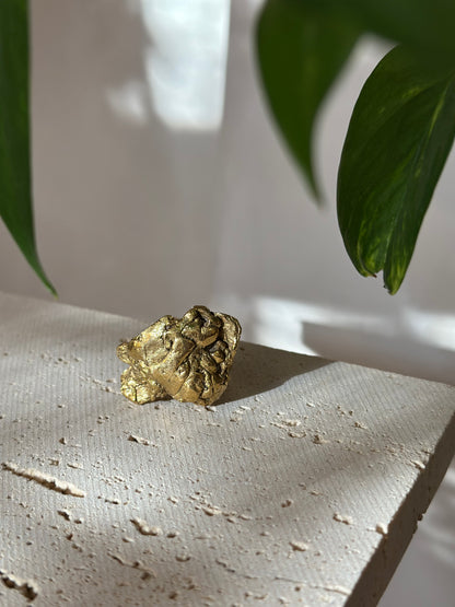 Anillo CRECER