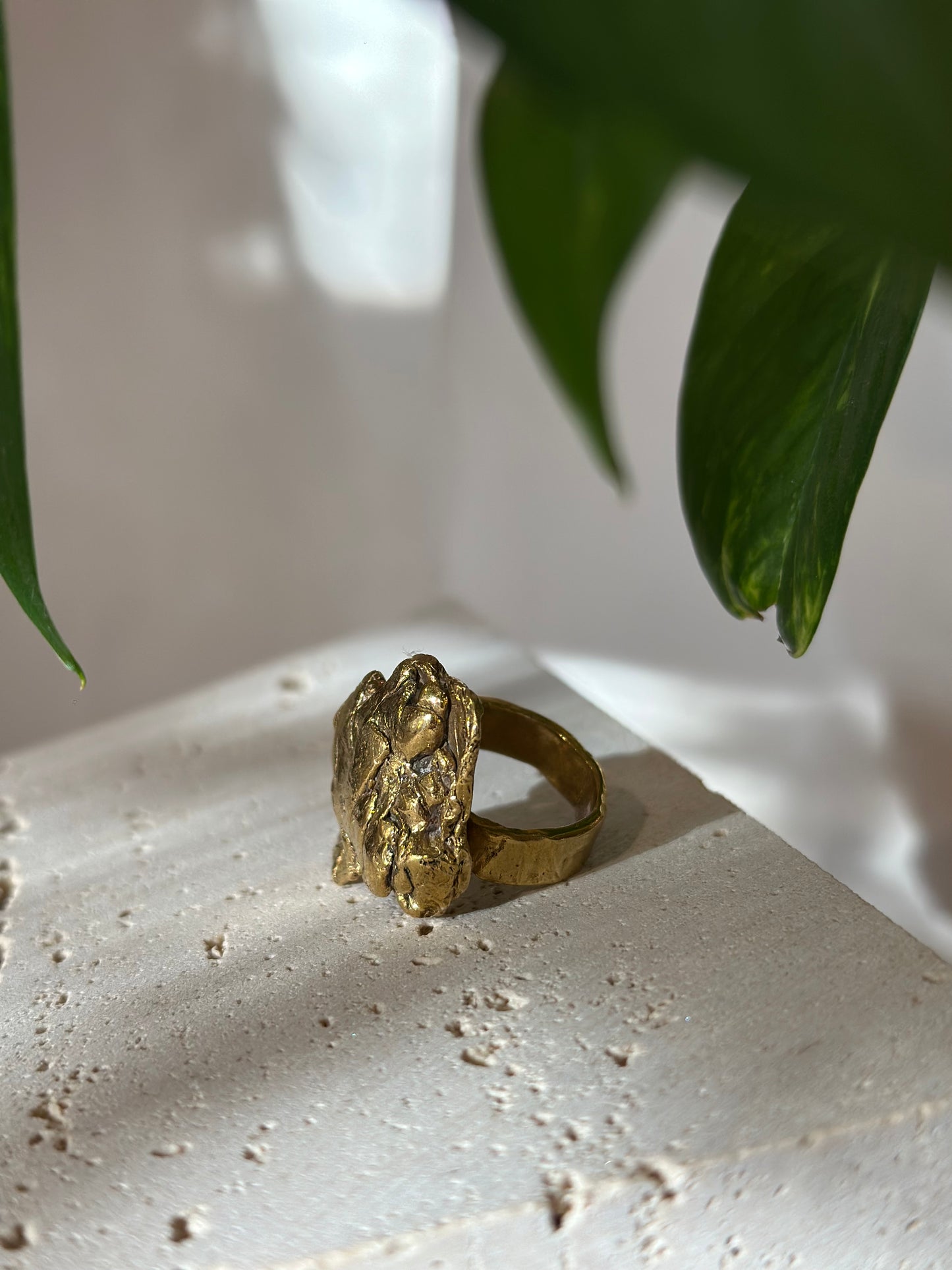 Anillo CRECER