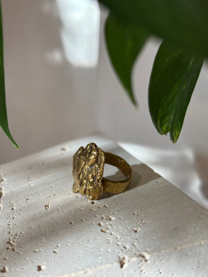 Anillo CRECER